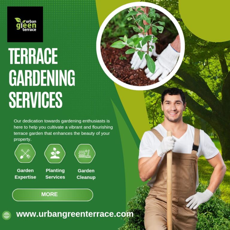 Getting Started with Terrace Gardening