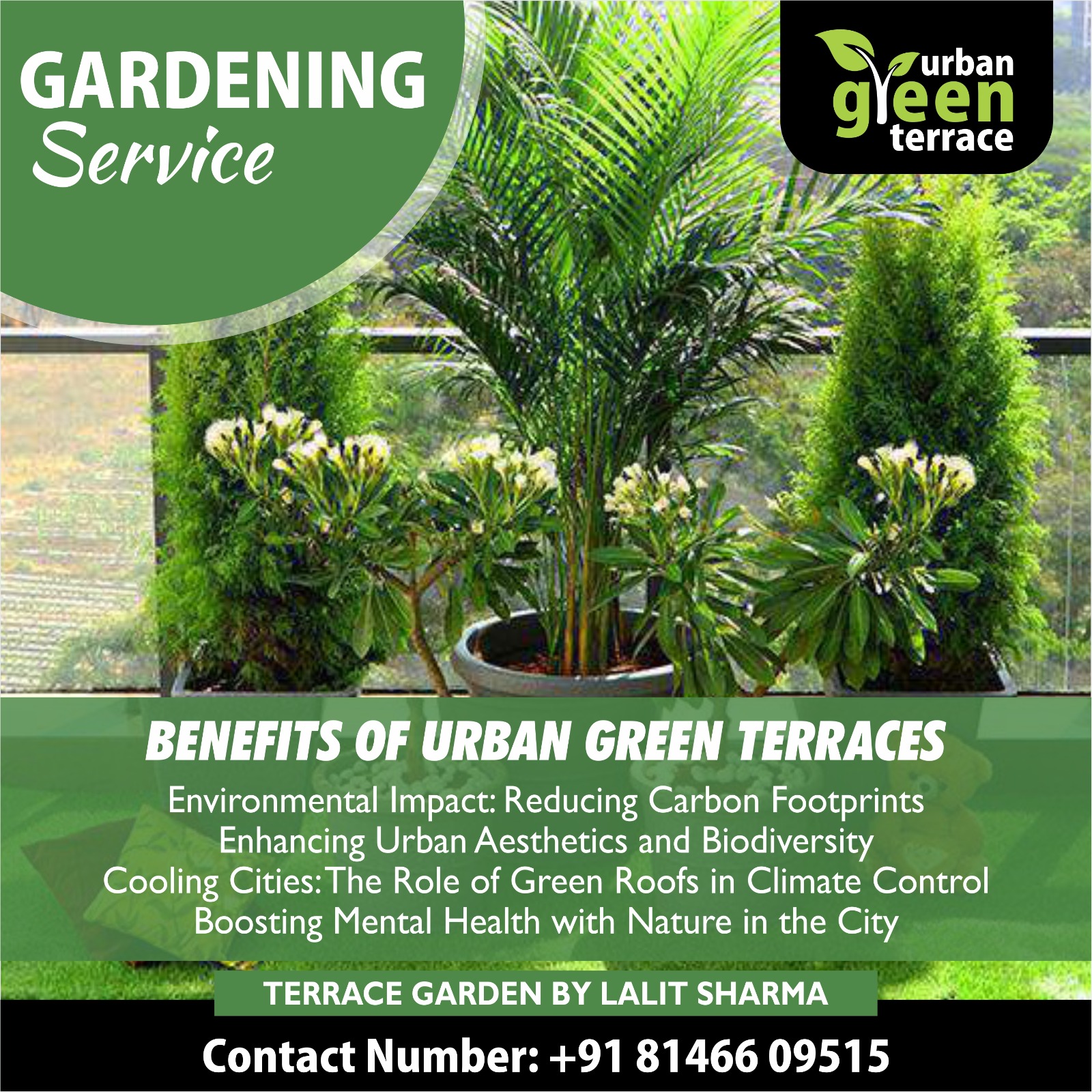 WhatsApp Image 2025-01-01 at 22.55.23_8eecd8c7