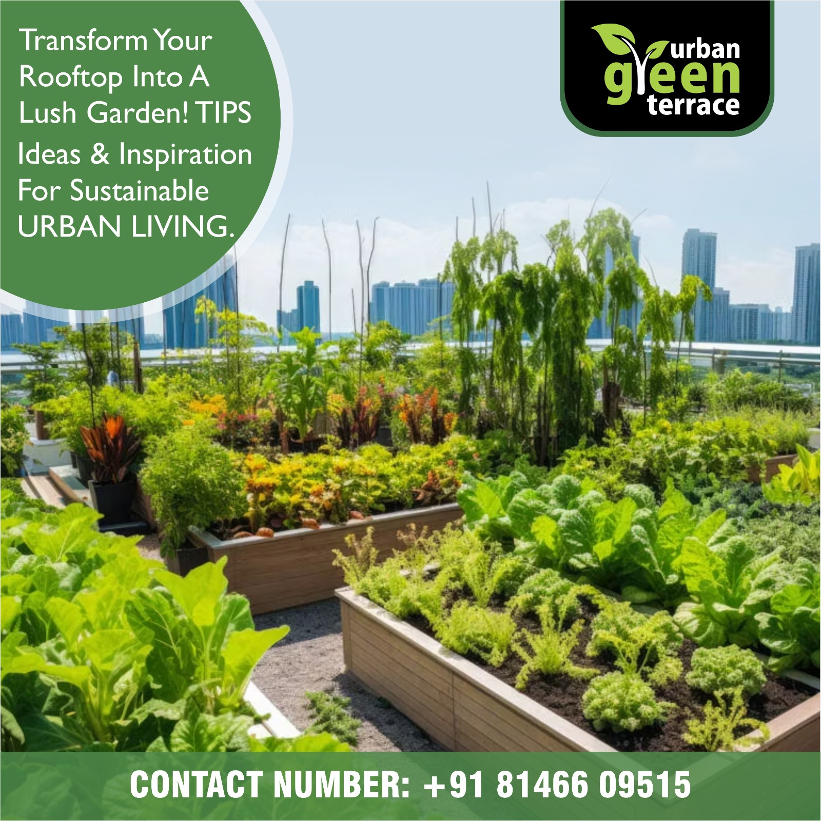 WhatsApp Image 2025-01-17 at 10.22.21_d09bb7d6