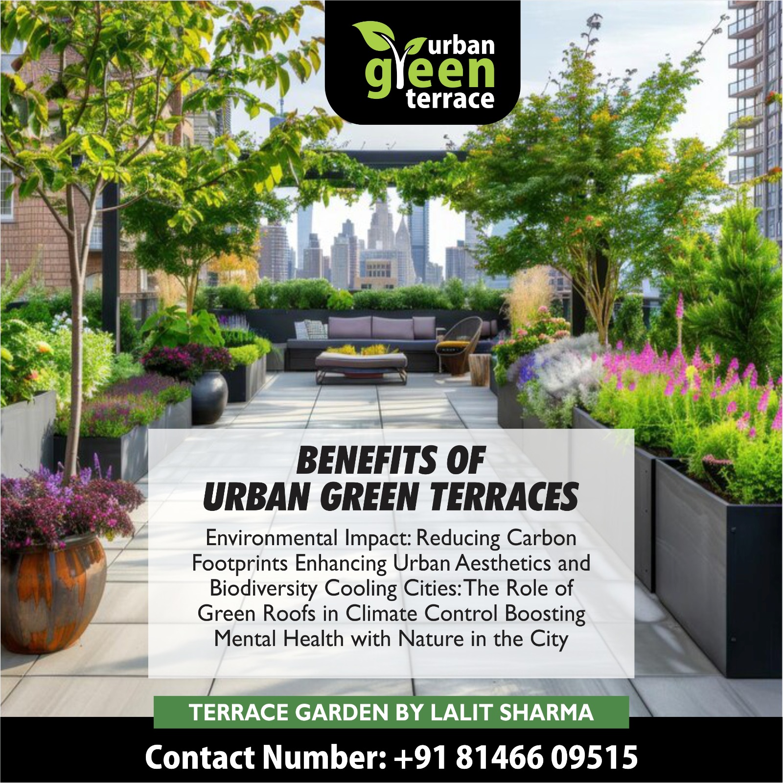 WhatsApp Image 2025-02-17 at 21.09.25_9c2505fd