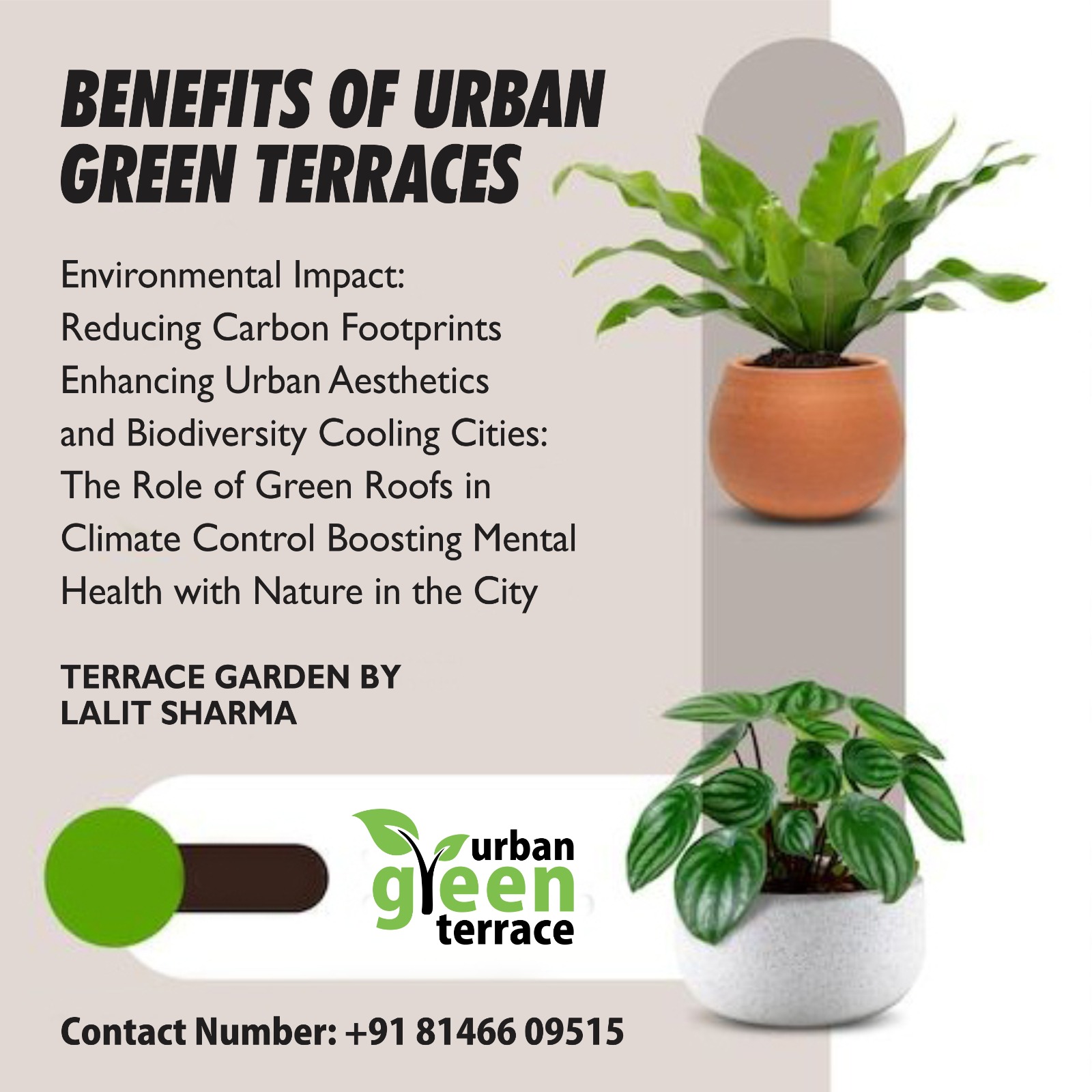 WhatsApp Image 2025-02-20 at 20.06.13_ad4e4dbe