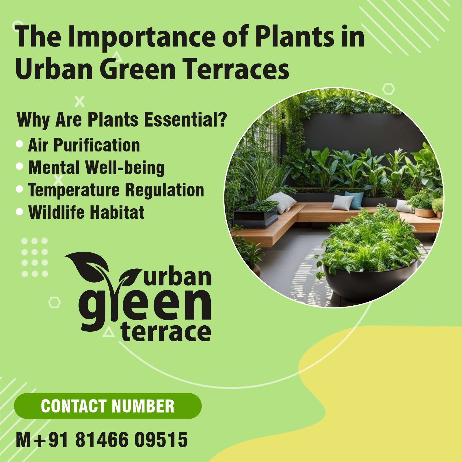 WhatsApp Image 2025-05-05 at 17.36.59_cb21ad58