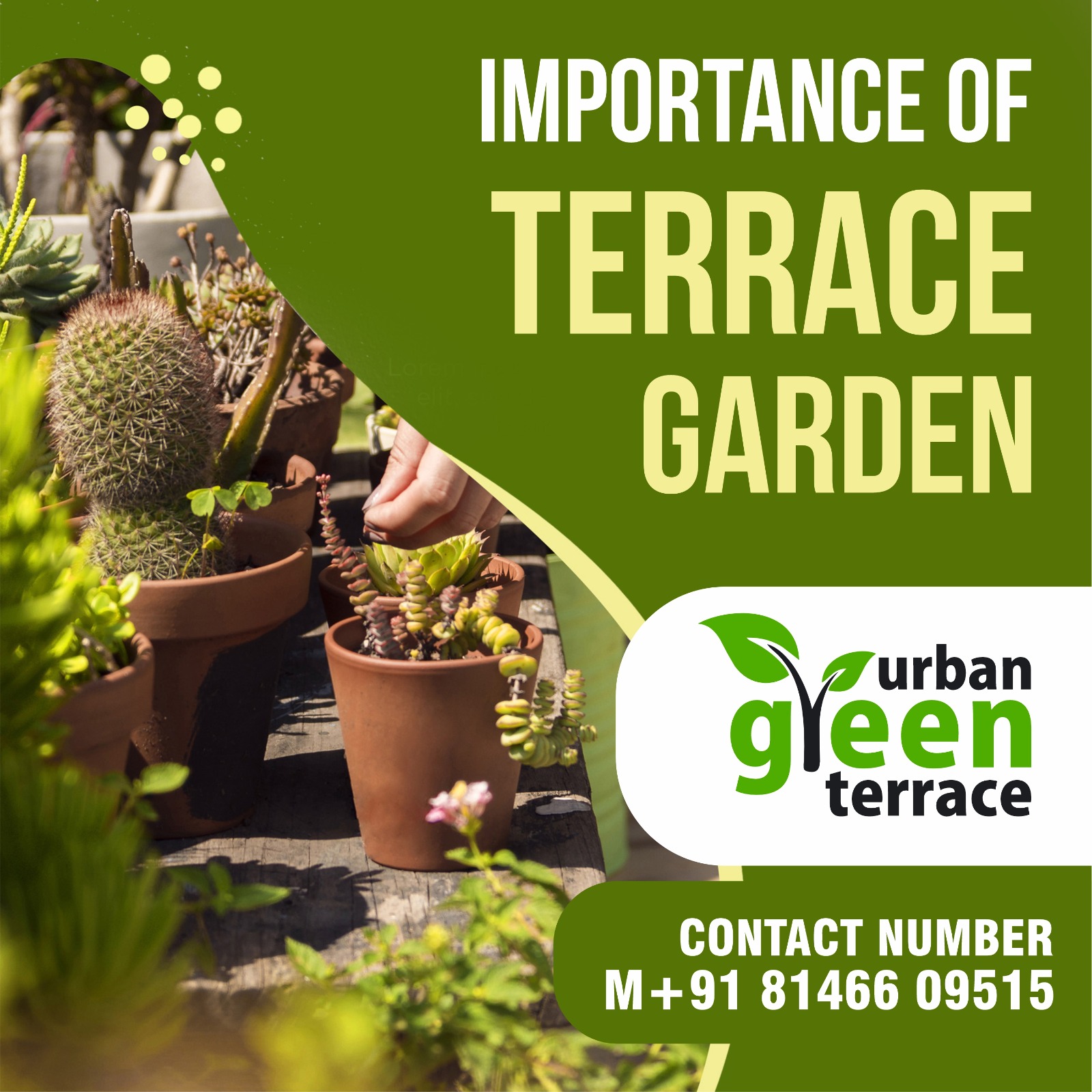 WhatsApp Image 2025-06-05 at 16.42.04_4937f9a3